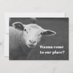 Einladung zum niedlichen Pessach