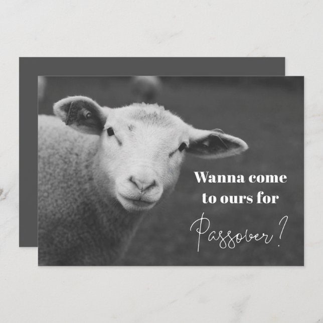 Einladung zum Spaß Pessach (Vorne/Hinten)