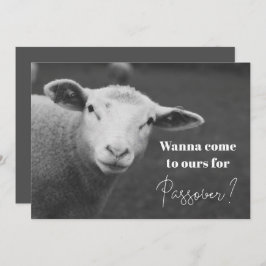 Einladung zum Spaß Pessach