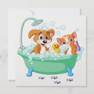 Einladung zur Dusche/Niedliche Katze und Hunde