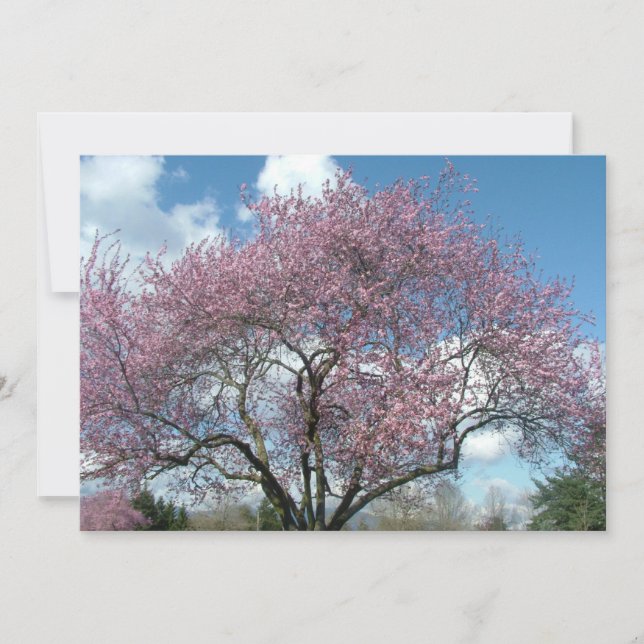 Einladung zur Geburtstagsfeier (Vorderseite)