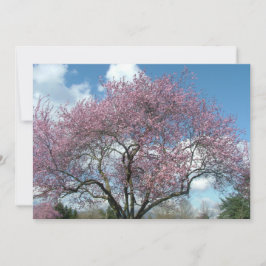 Einladung zur Geburtstagsfeier