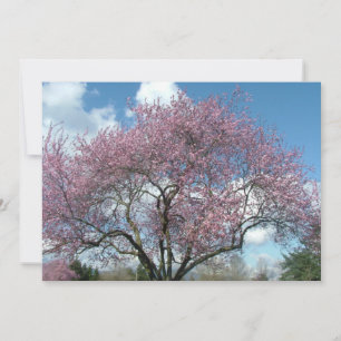 Einladung zur Geburtstagsfeier