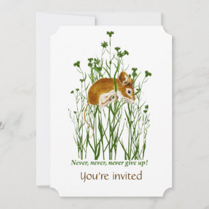 Einladung zur gezielten Bekämpfung der Krebsfinanz