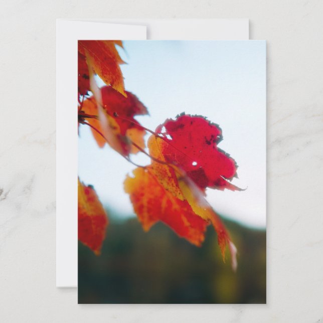 Einladung zur Herbstblatthochzeit (Vorderseite)