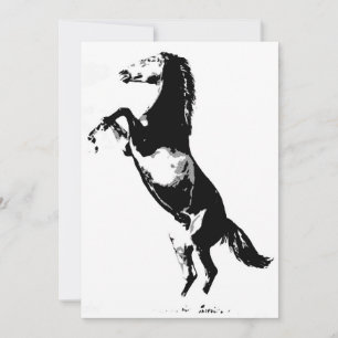 Einladung zur Pferdezucht