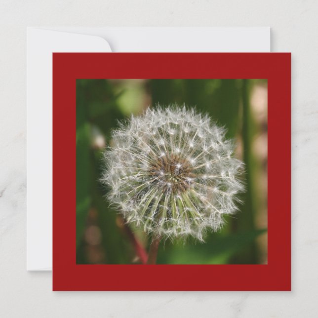 Einladung zur Sommergeburt (Vorderseite)