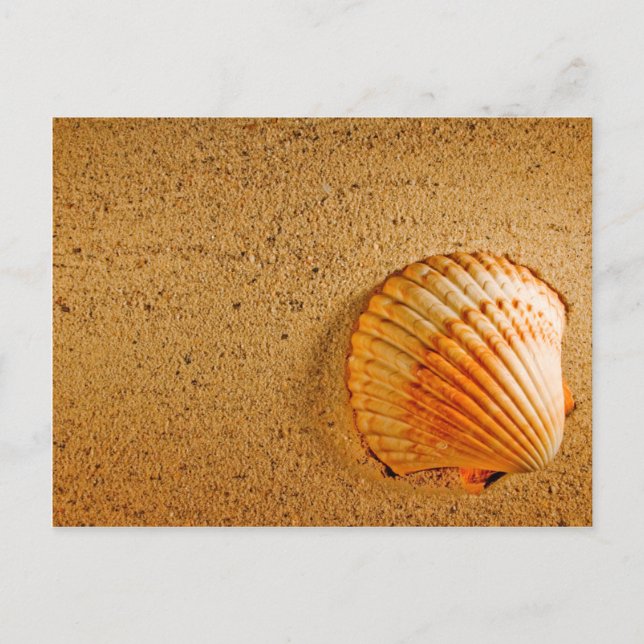 Einladung zur Strandhochzeit in tropischer UAWG (Vorderseite)