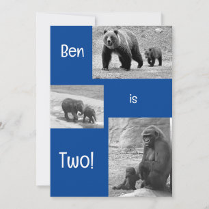 Einladung zur zweispängigen Zoo Birthday Party