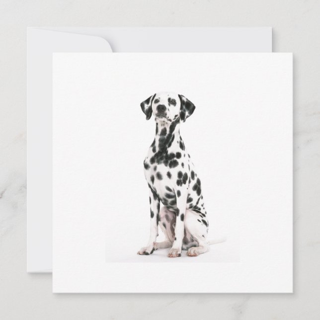 Einladungen für Brandhunde (Vorderseite)