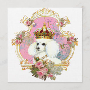 Einladungen für die White Poodle Princess Karten