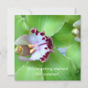 Einladungen für Grüne Orchideen