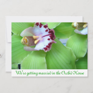 Einladungen für Grüne Orchideen