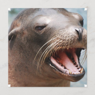 Einladungen für Seelöwe