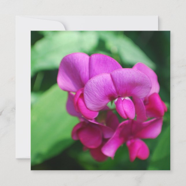 Einladungen für Zuckererbsen (Vorderseite)