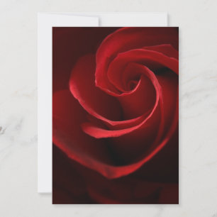 EINLADUNGEN Rote Rose