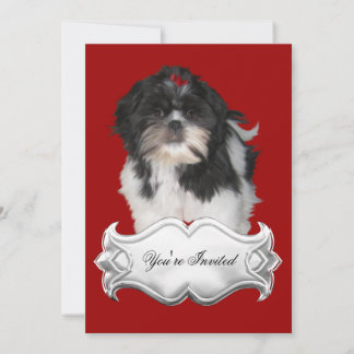 Einladungen Shitzu Shih Tzu Welpe Hunde Red Black