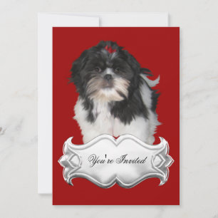 Einladungen Shitzu Shih Tzu Welpen Hunde Rot Schwa
