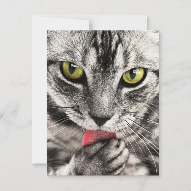 Einladungen Stationery Greeting Cards Holida (Vorderseite)