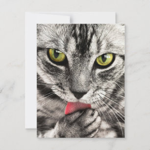 Einladungen Stationery Greeting Cards Holida