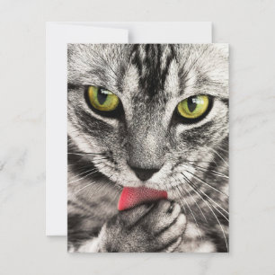 Einladungen Stationery Grußkarten