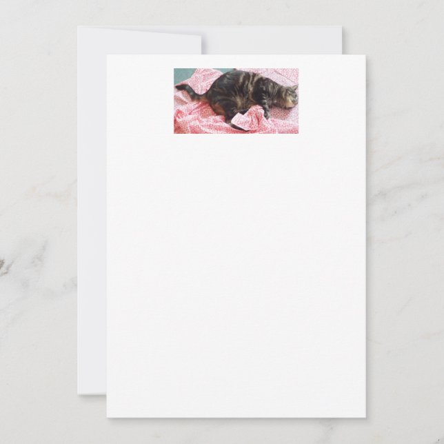 Einladungen von Tailor Dave (Vorderseite)