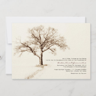 Einladungen zu braunen und weißen Winterhochzeiten