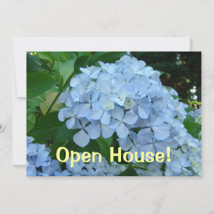 Einladungen zu offenen Tagen! Schultage Hydrangeen