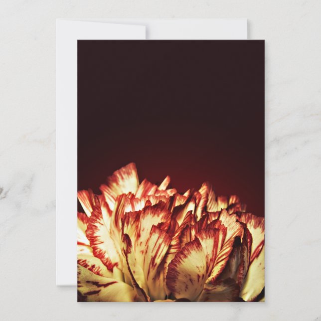 Einladungen zum Carnation Fire (Vorderseite)