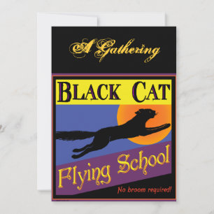 Einladungen zur Black Cat Flying School