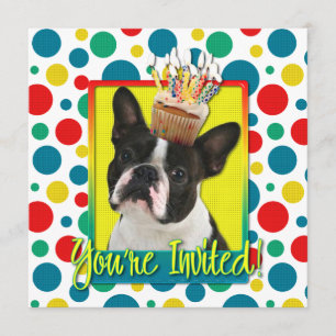 Einladungs-kleiner Kuchen - Boston Terrier Einladung