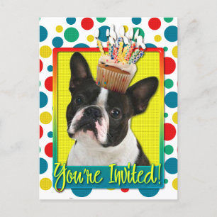 Einladungs-kleiner Kuchen - Boston Terrier Einladungspostkarte