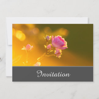 Einladungskarte mit rosa Rose Einladung