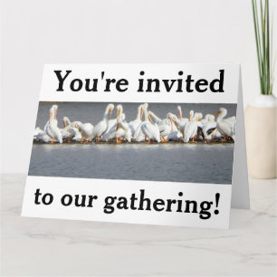 Einladungskarte, Pelikane Karte
