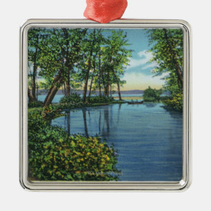 Einlass-Eingangs-Ansicht Silbernes Ornament