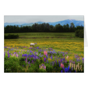 Einlassen der Ansicht