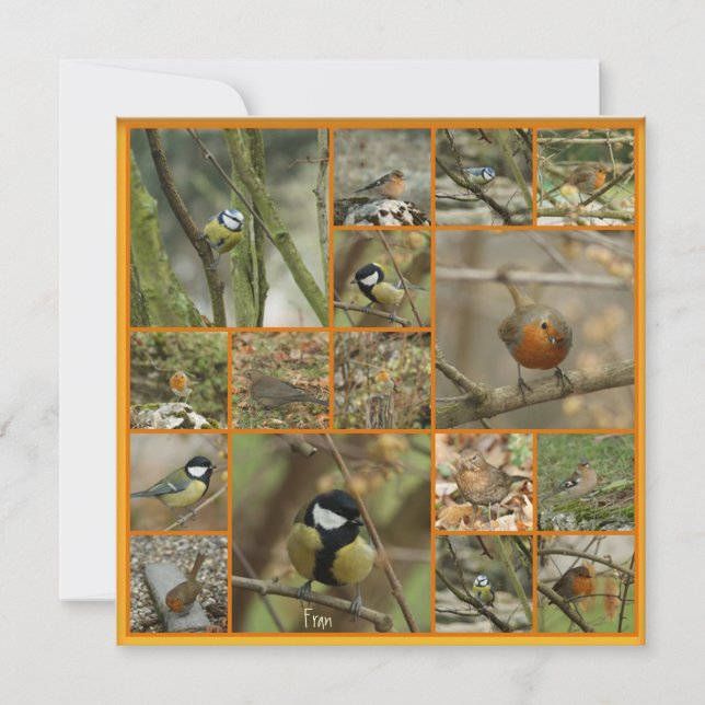 einmal auf einem Vogel (Vorderseite)
