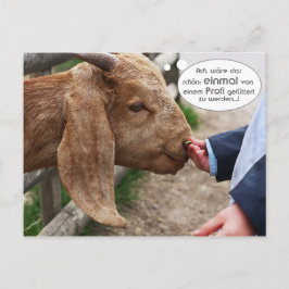 ...einmal von einem Profi ttert zu werden.. Postkarte