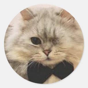 Einmalige mit Augen Katze Runder Aufkleber