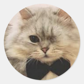 Einmalige mit Augen Katze Runder Aufkleber