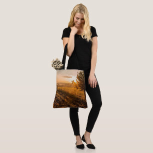 Einmaliger Baum auf dem nebeligen Feld im goldenen