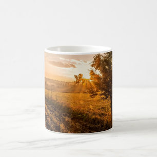 Einmaliger Baum auf dem nebeligen Feld im goldenen Kaffeetasse