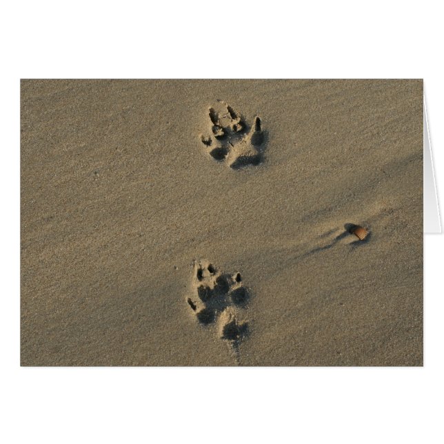 Einmaliger Hund (Vorderseite (Horizontal))