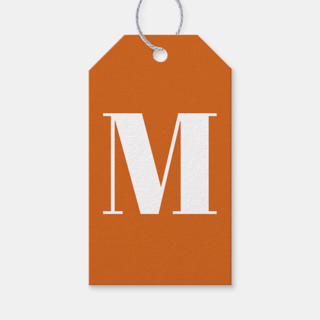 Einmaliger Kürbisgewürz, modern Geschenkanhänger (Vorderseite)