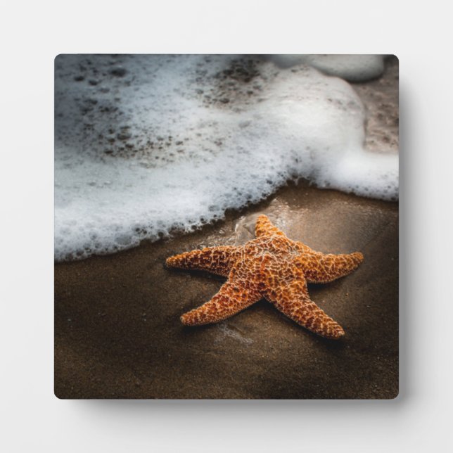 Einmaliger Starfish am Strand Fotoplatte (Vorderseite)