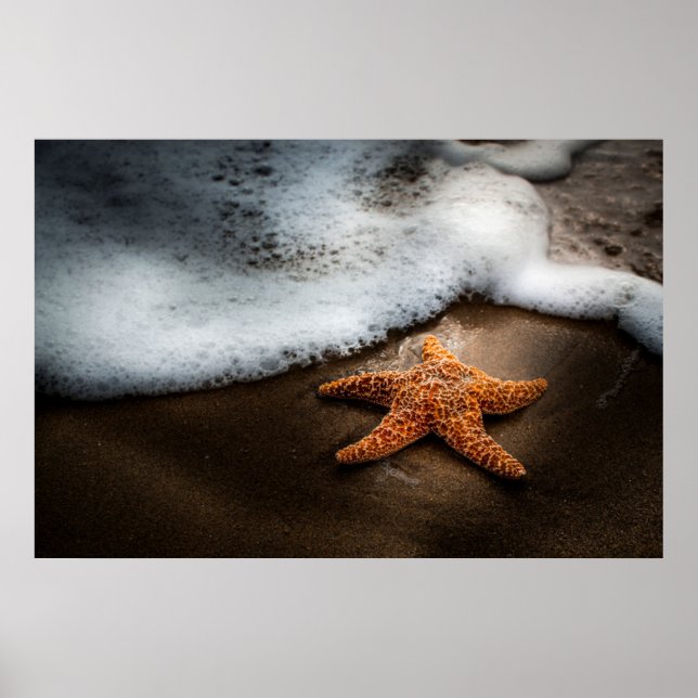 Einmaliger Starfish am Strand Poster (Vorne)