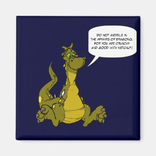 Einmischen Sie nicht sich in den Angelegenheiten Magnet