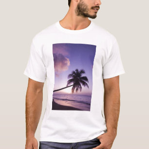 Einpalme bei Sonnenuntergang, Coconut Grove Strand T-Shirt