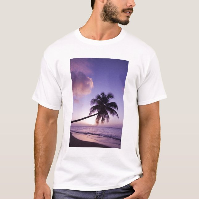 Einpalme bei Sonnenuntergang, Coconut Grove Strand T-Shirt (Vorderseite)