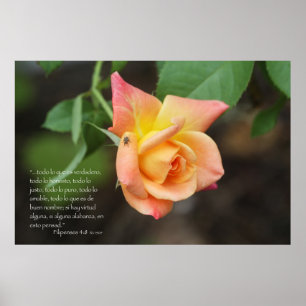 Einrichtungen 4:8 con rosa poster